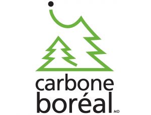 carbone-boreal-cellzone